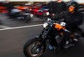 HarleyHH2011   021